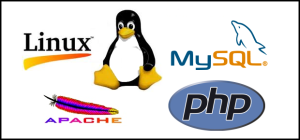 custom php programming